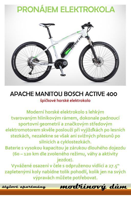 Apartmany Modrinovy Dum Horní Planá Buitenkant foto